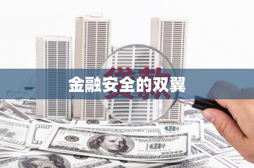原平金融安全的双翼