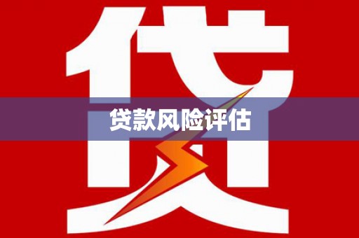 石龙贷款风险评估