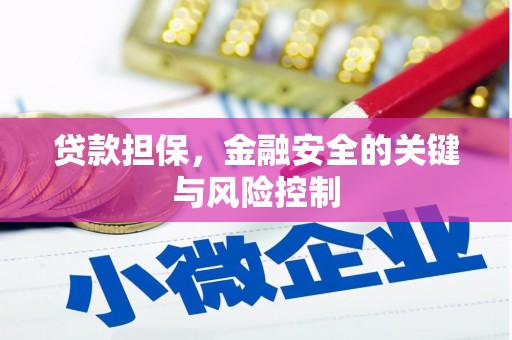 寻甸贷款担保，金融安全的关键与风险控制