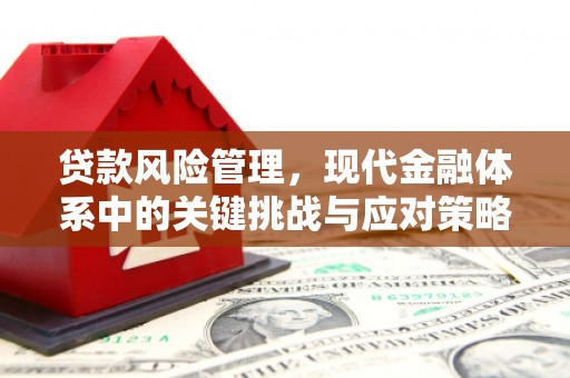 瑶海贷款风险管理，现代金融体系中的关键挑战与应对策略