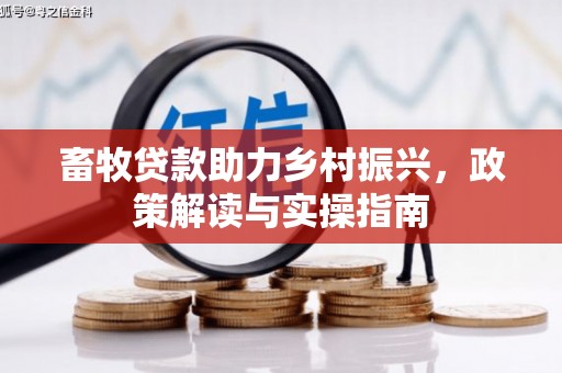 兴庆畜牧贷款助力乡村振兴，政策解读与实操指南