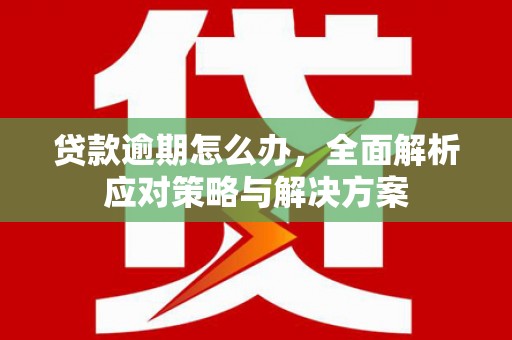 道滘贷款逾期怎么办，全面解析应对策略与解决方案