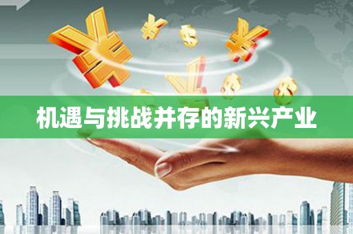 镇平机遇与挑战并存的新兴产业