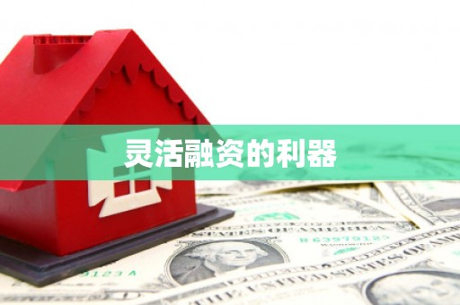 代县灵活融资的利器