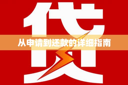 达孜从申请到还款的详细指南