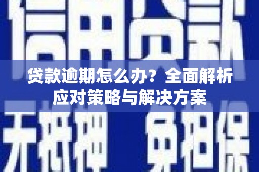 甘孜贷款逾期怎么办？全面解析应对策略与解决方案