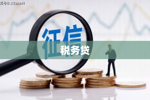 澳门半岛税务贷