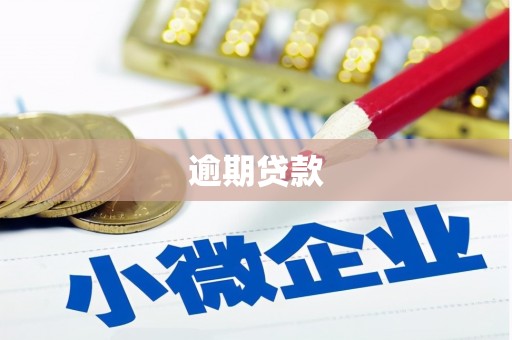麻豆逾期贷款