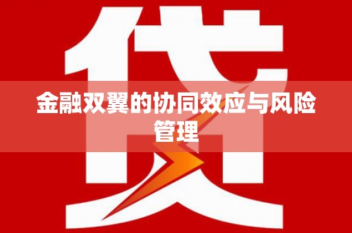 潭子金融双翼的协同效应与风险管理
