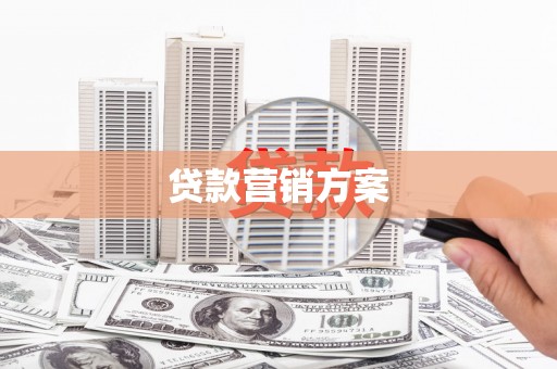 镇巴贷款营销方案