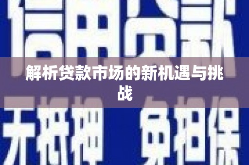 武川解析贷款市场的新机遇与挑战