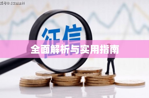 巧家全面解析与实用指南