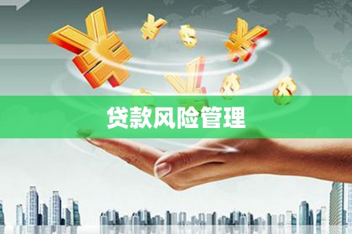 屏南贷款风险管理